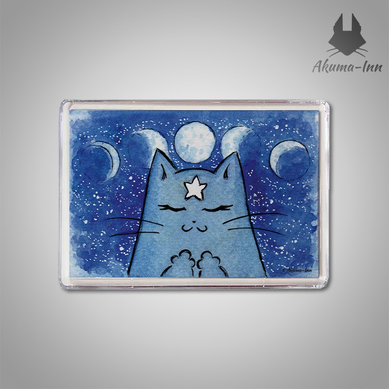 Magnet Moon
