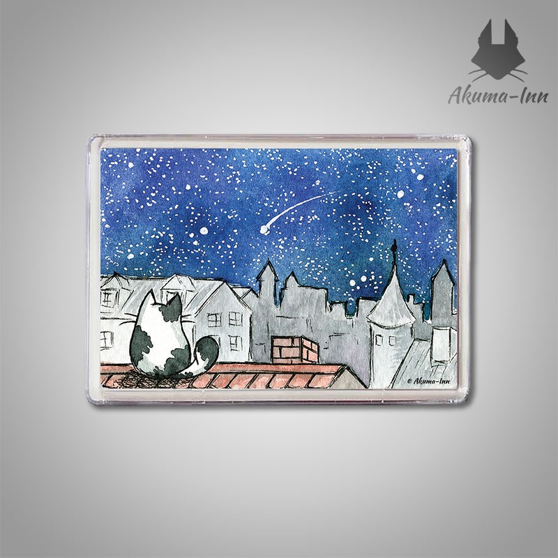 Magnes Krajobrazy Dachy