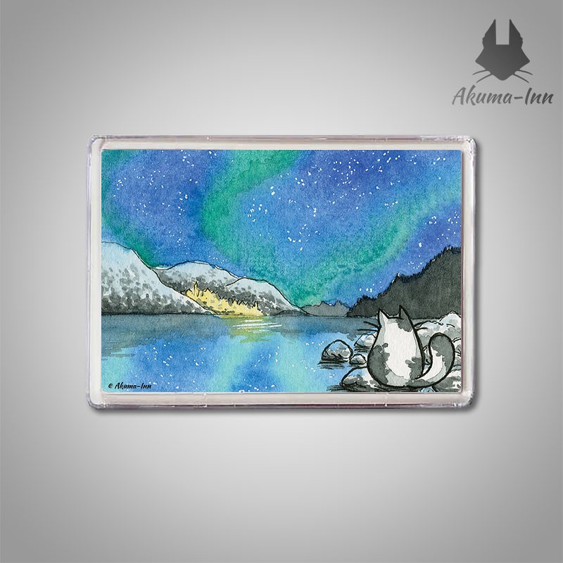 Magnet Landscapes The Northern Lights