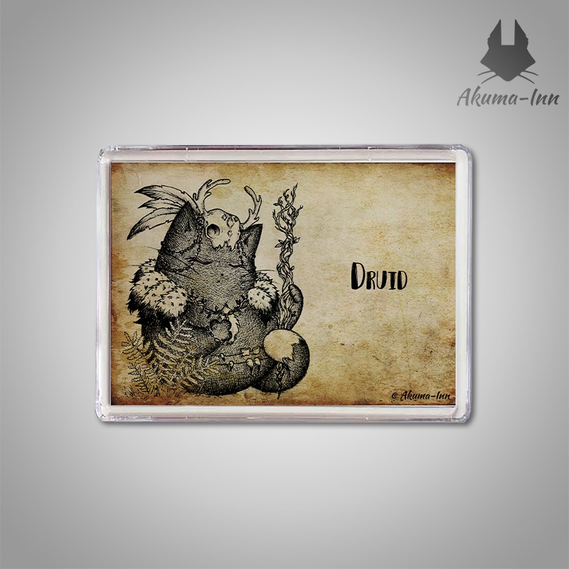 Magnet RPG Druid