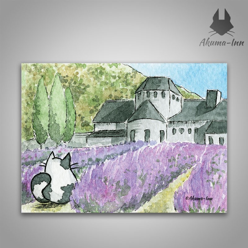 Postcard Landscapes Lavender Fields