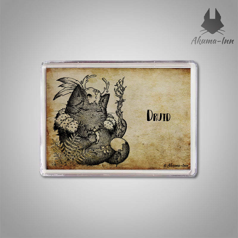 Magnes RPG Druid